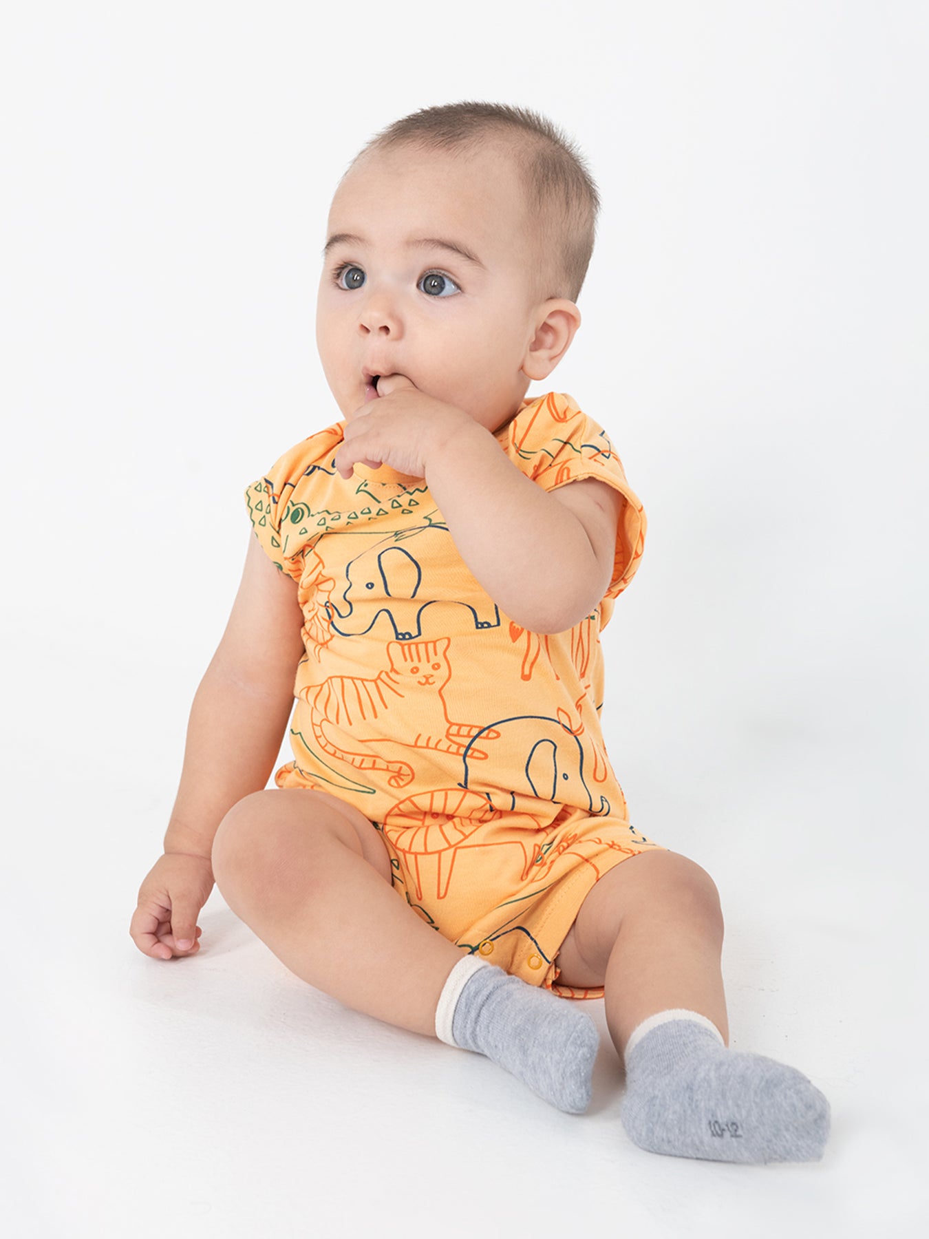 Babies – Cherubino