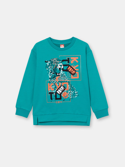 Boys Green Sweatshirt with Kung Fu Tiger Print