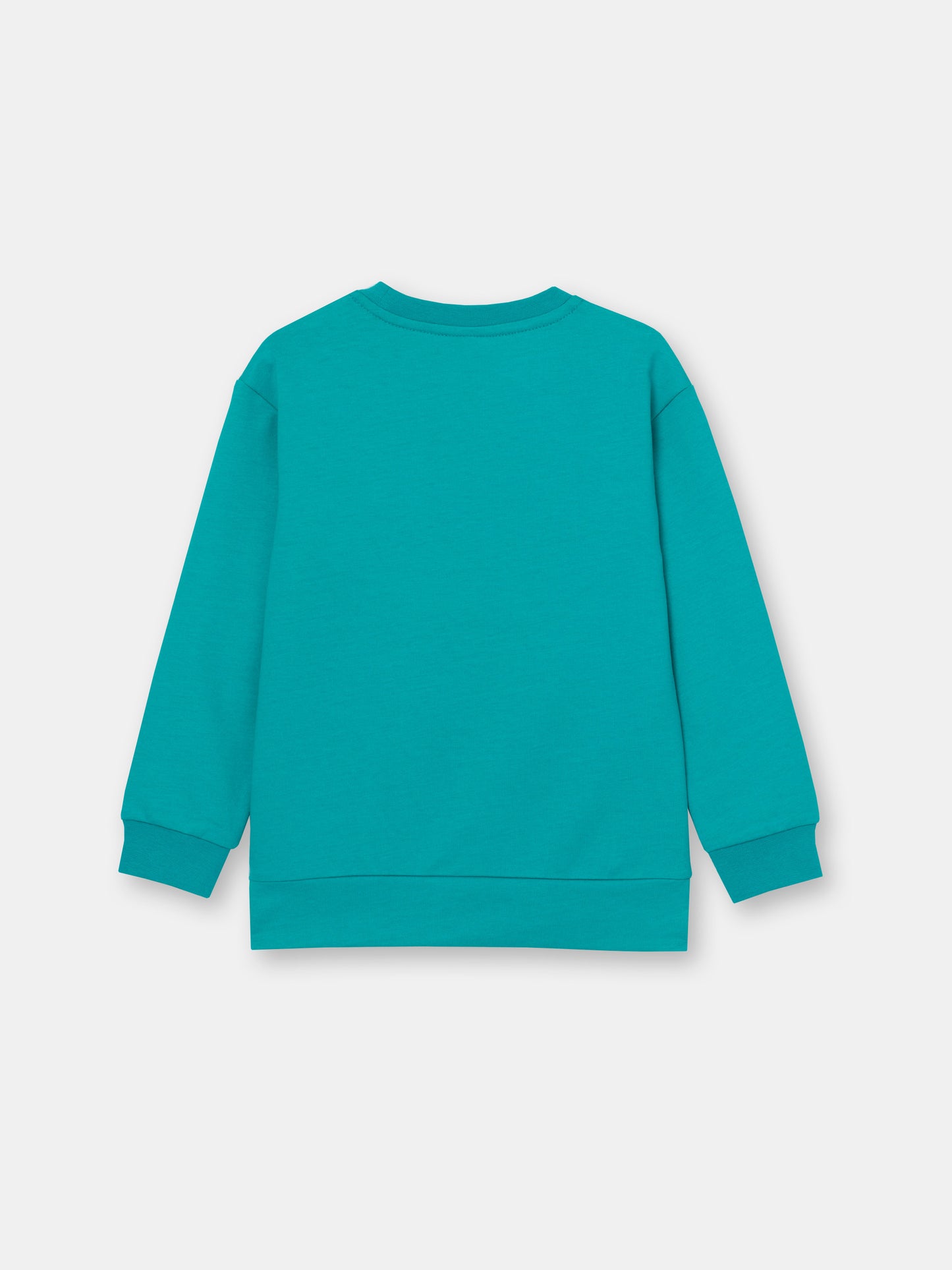 Boys Green Sweatshirt with Kung Fu Tiger Print