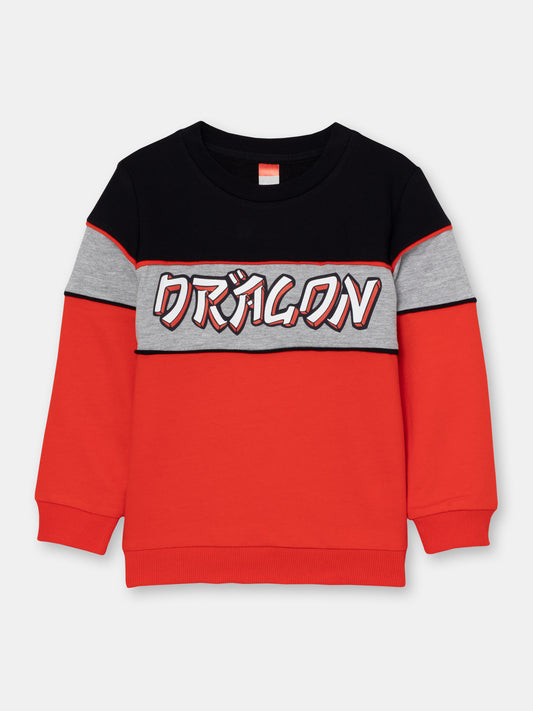 Boys Black Sweatshirt with Dragon Print