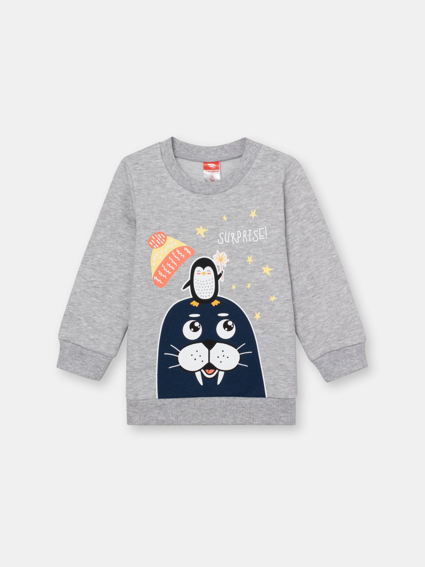 Baby Boys Grey Sweatshirt with Walrus Surprise Print